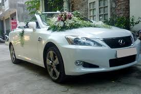 LEXUS MUI TRẦN